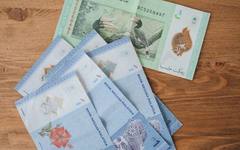 Malaysian ringgit banknotes, the currency care fees are paid in